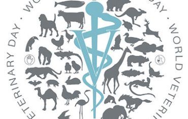world veterinary day